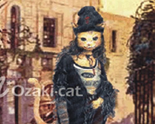 Illustrations